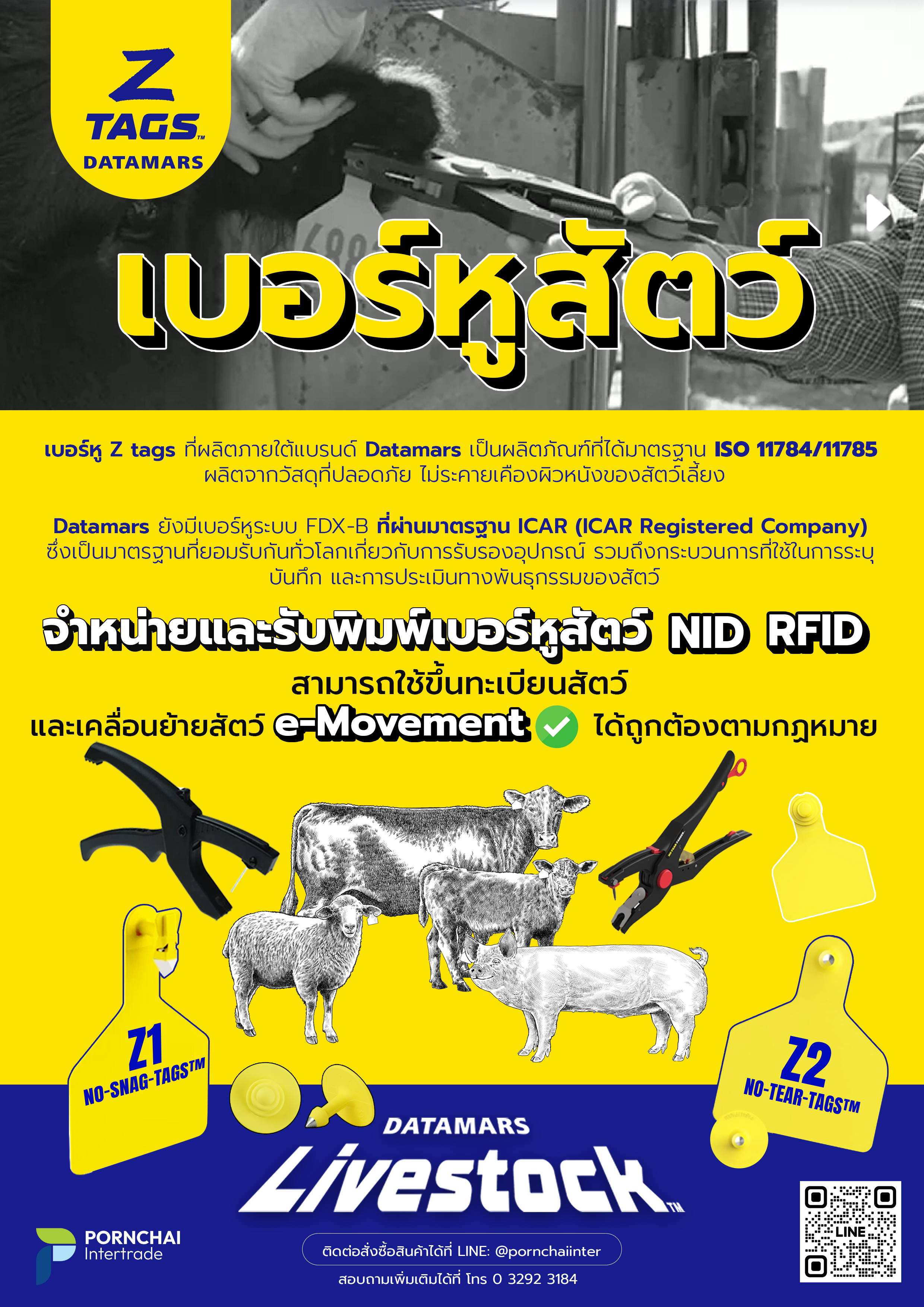 เบอร์หูสัตว์ แบบหนึ่งชิ้น z1 (สีส้ม)