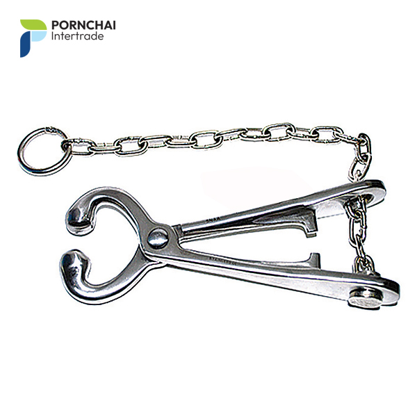 คีมดึงจมูกโค พร้อมโซ่ และตะขอ Bull holder with chain & hook