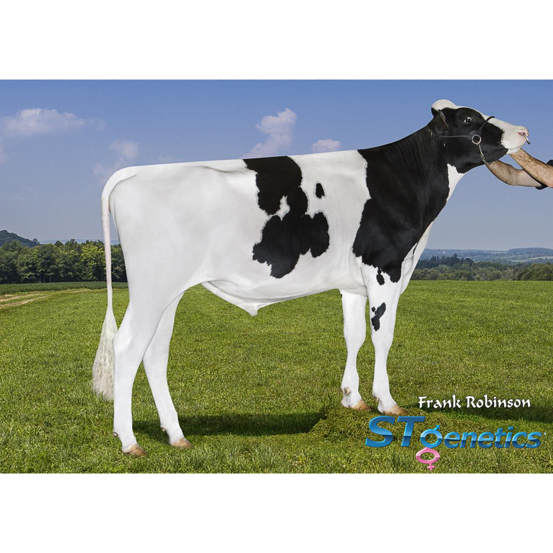 มีก้า มัช ST Gen MEGA-MACH 1 54837-ET